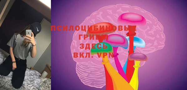 PSILOCYBIN Лагань