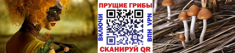 Псилоцибиновые грибы прущие грибы  кракен зеркало  Муравленко 