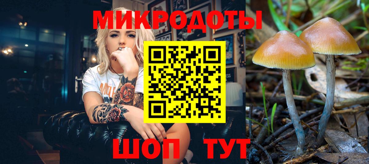 Псилоцибиновые грибы ЛСД Муравленко