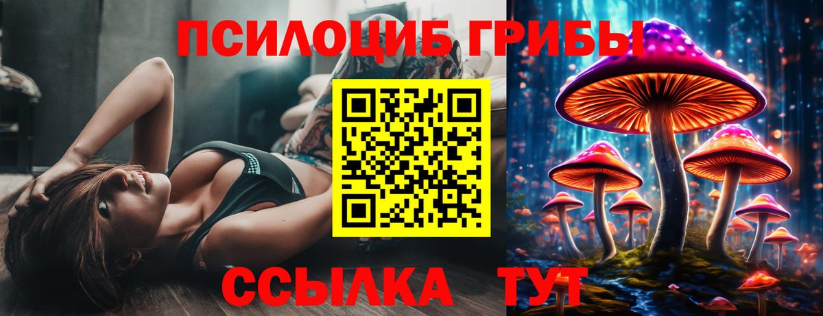 Псилоцибиновые грибы Magic Shrooms  Вход с VPN  Псилоцибиновые грибы Cubensis  Муравленко 